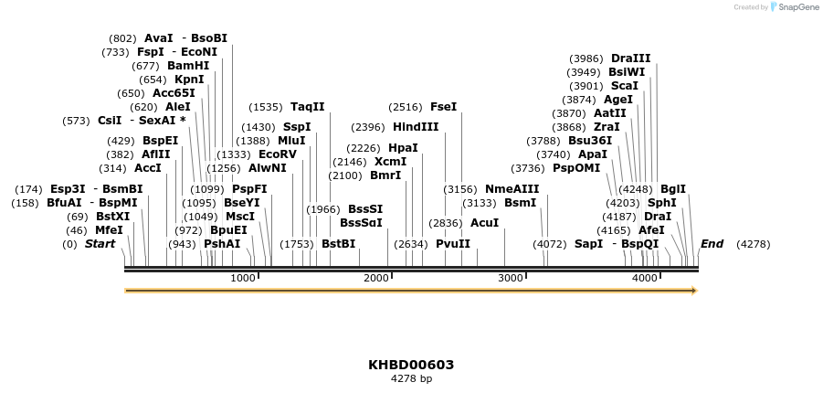 50122_map
