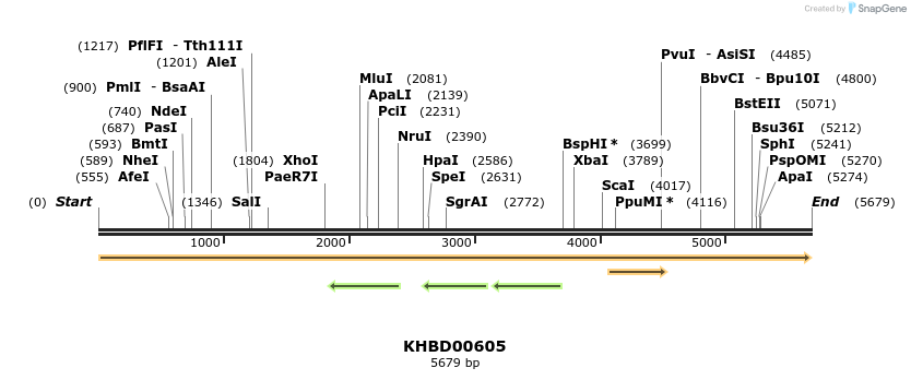 50123_map