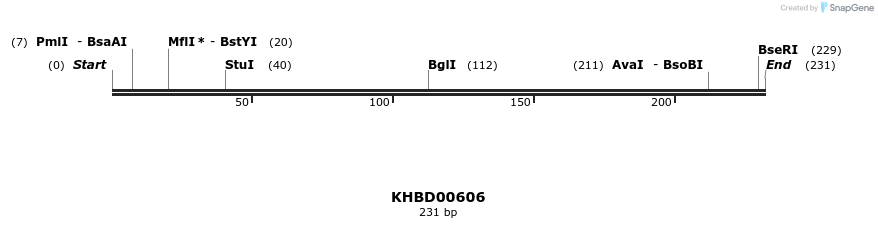 50124_map