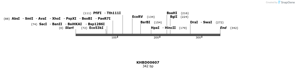50125_map