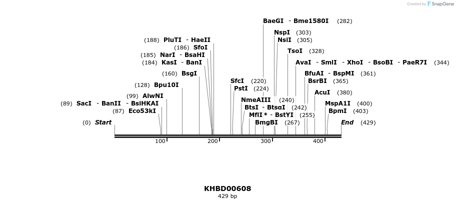 50126_map