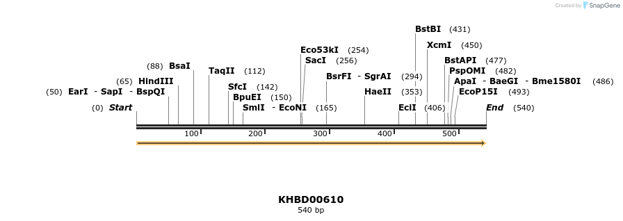 50127_map