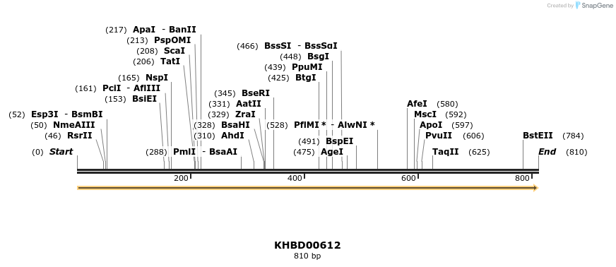 50128_map