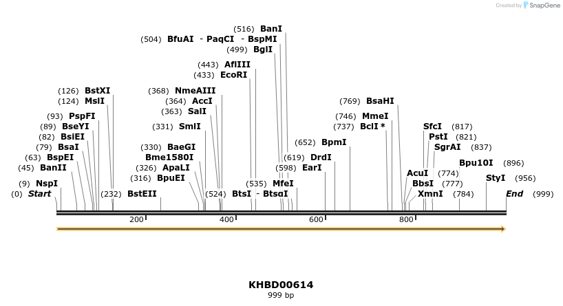 50129_map