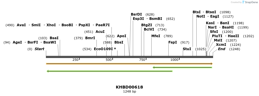 50131_map