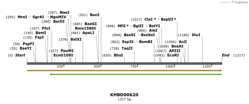 50132_map