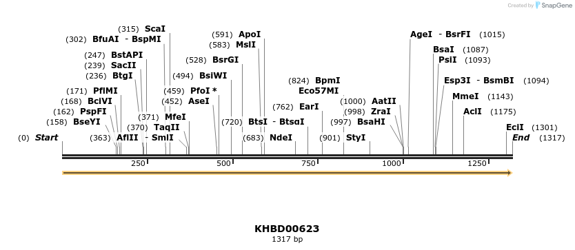 50135_map