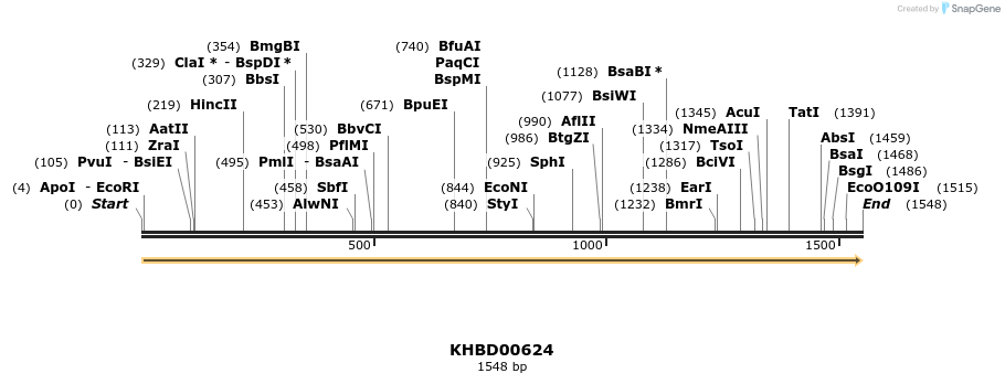 50136_map