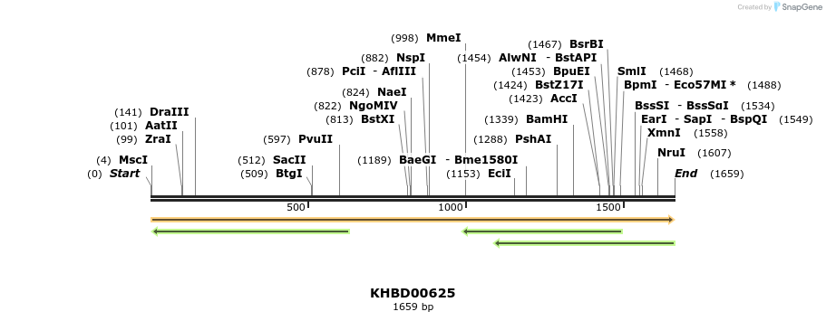 50137_map