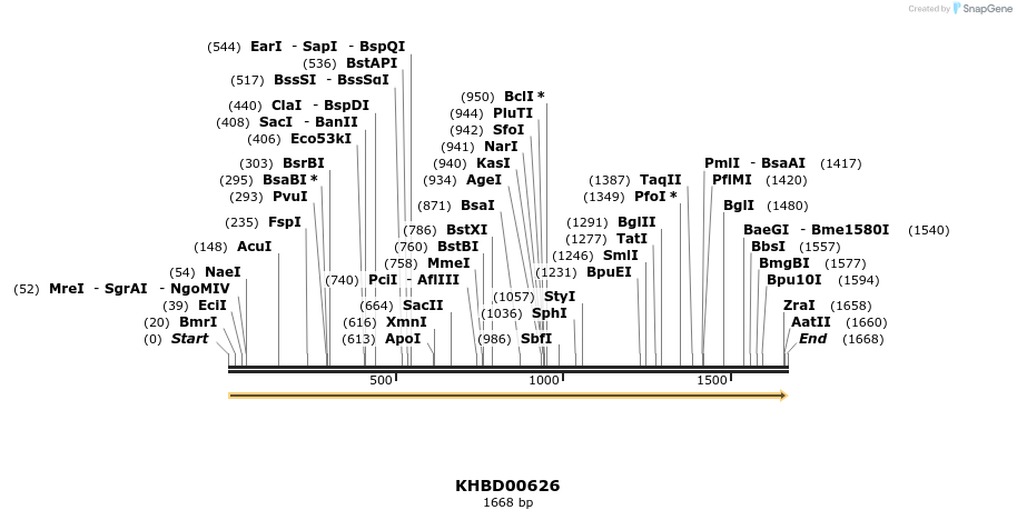 50138_map