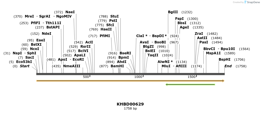 50139_map