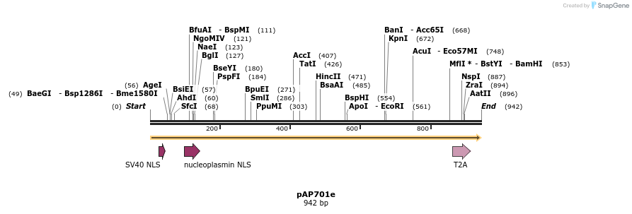 501394_map