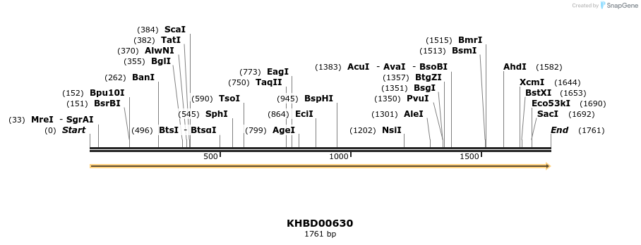 50140_map