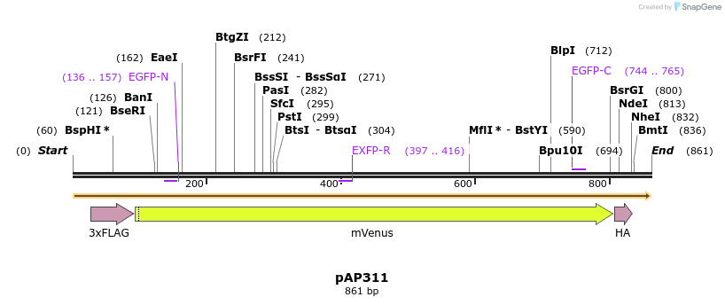 501408_map