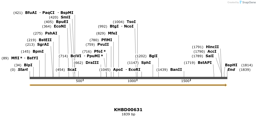 50141_map