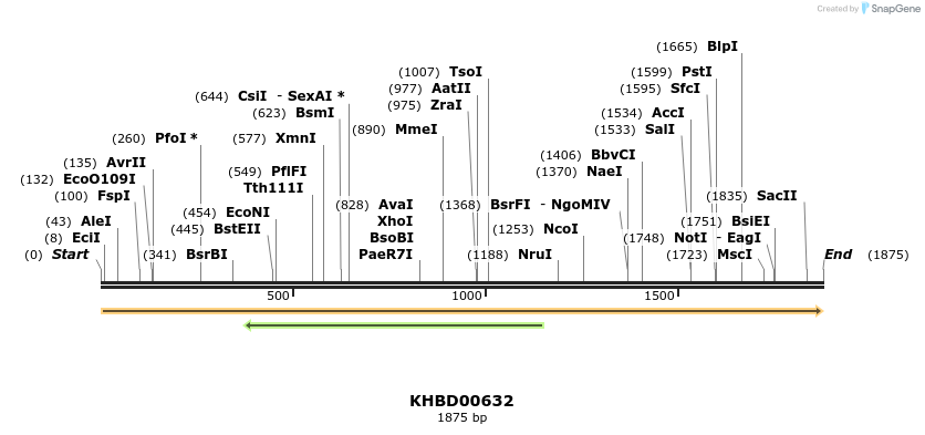 50142_map