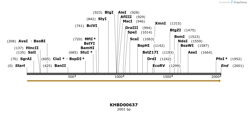 50144_map