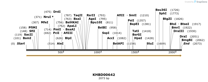 50146_map