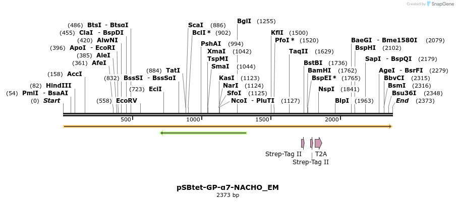 501473_map