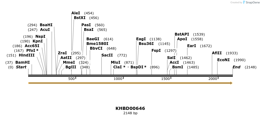 50148_map