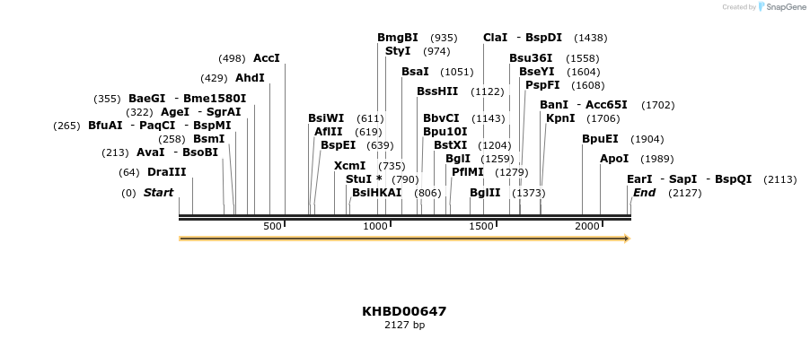 50149_map
