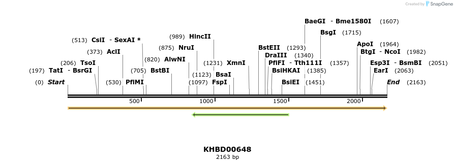 50150_map
