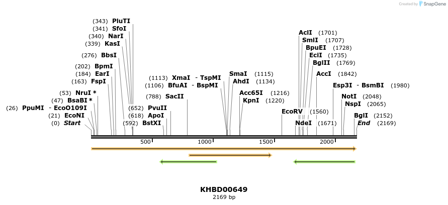 50151_map