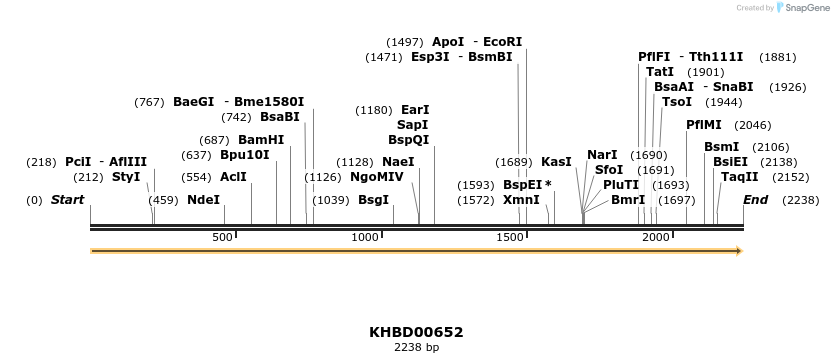 50153_map