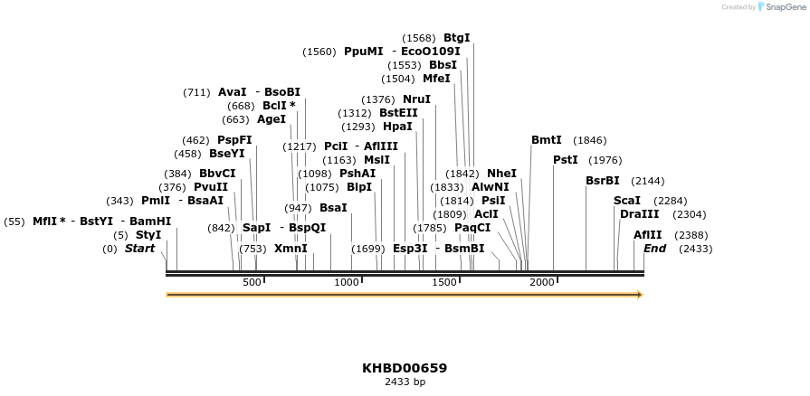 50155_map