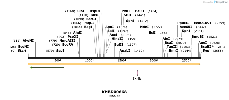 50160_map