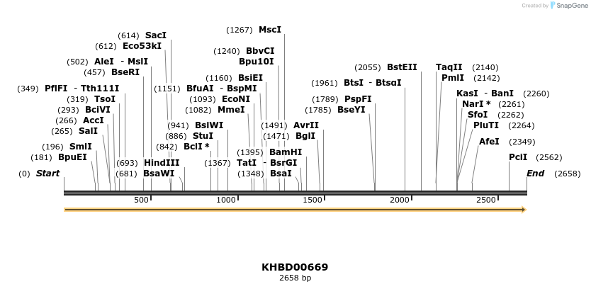 50161_map
