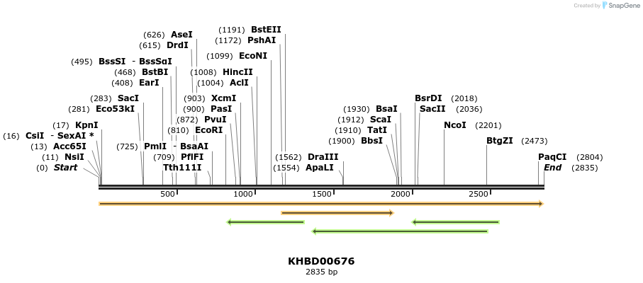50164_map