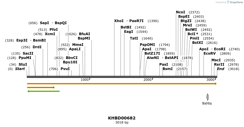 50167_map