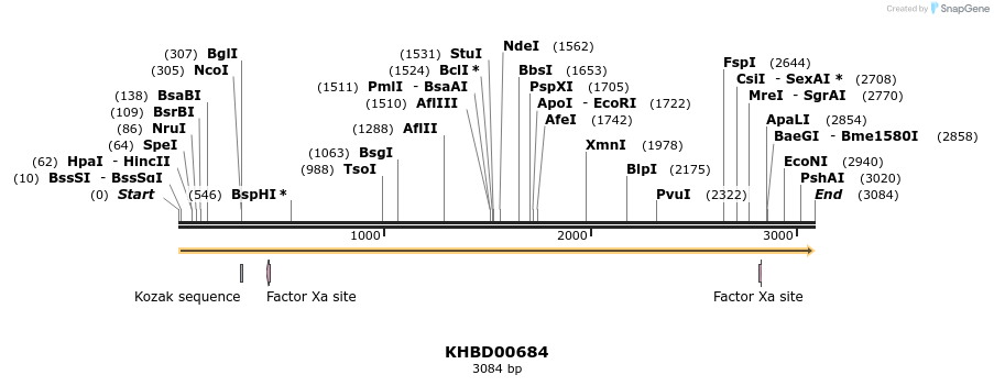 50168_map