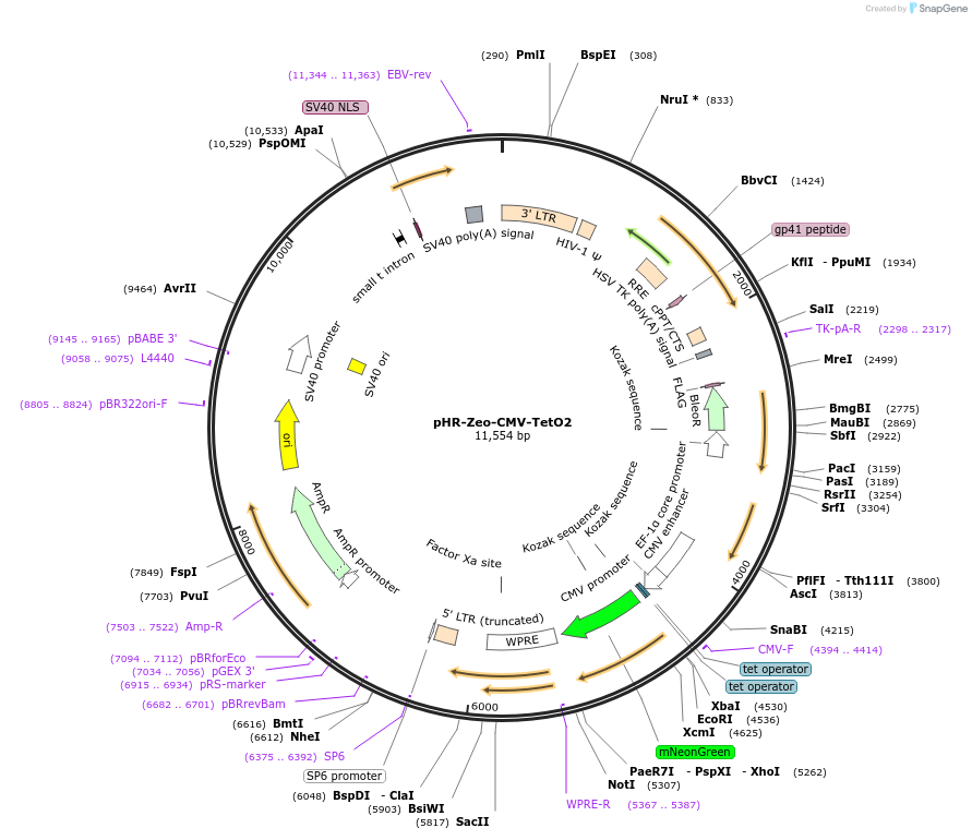 501696_map