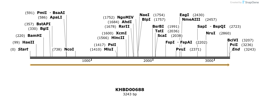 50170_map