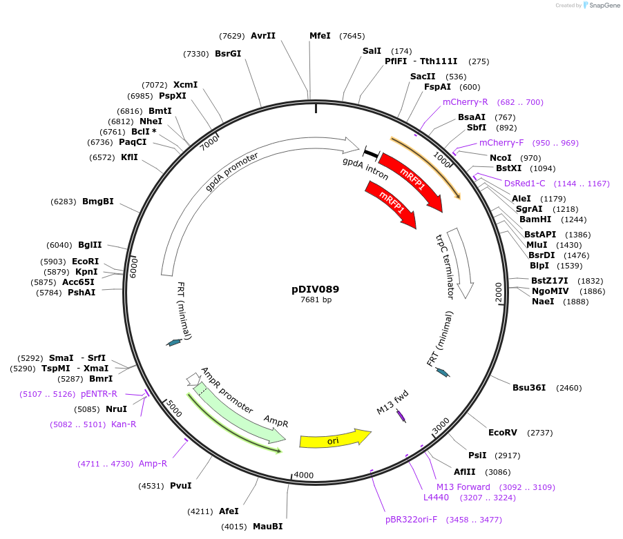 501714_map