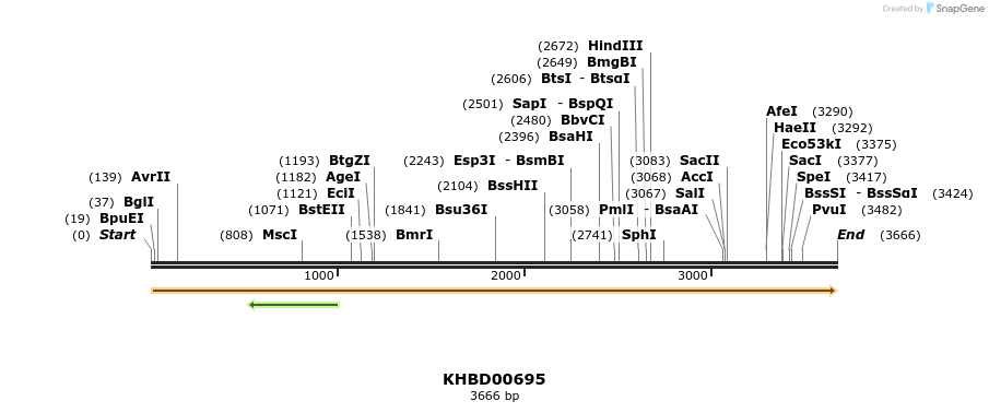 50172_map