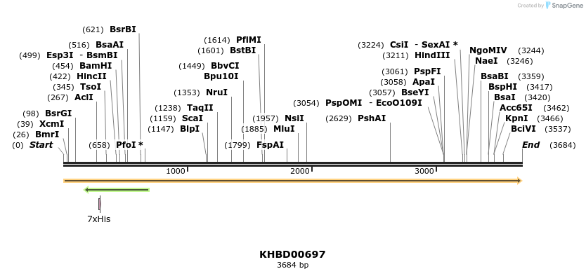 50174_map