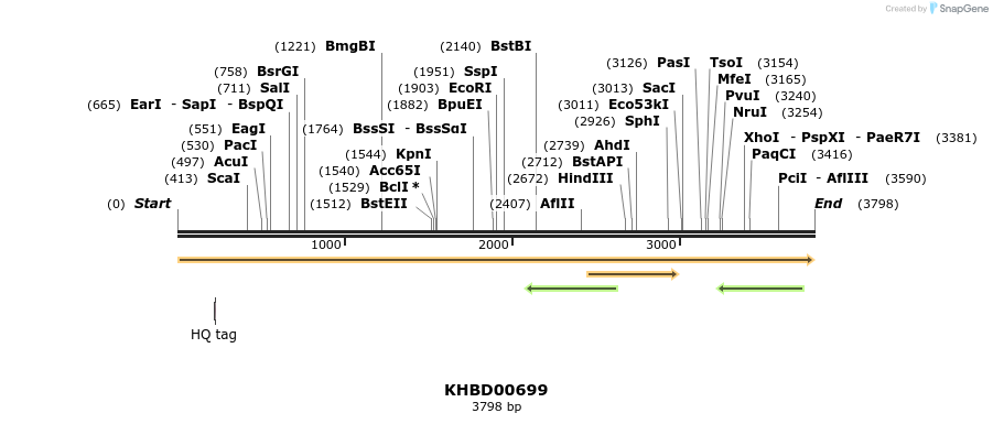 50176_map
