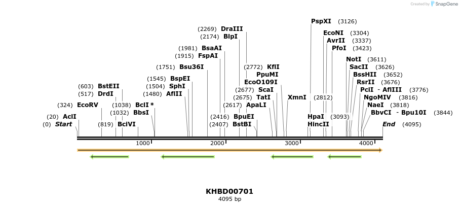 50177_map