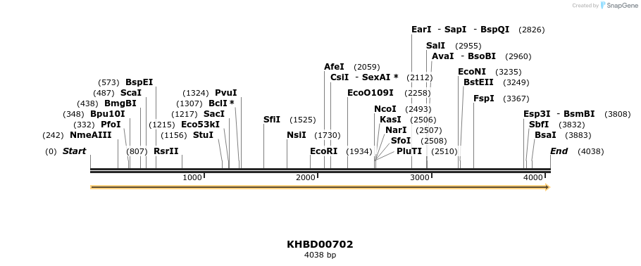 50178_map