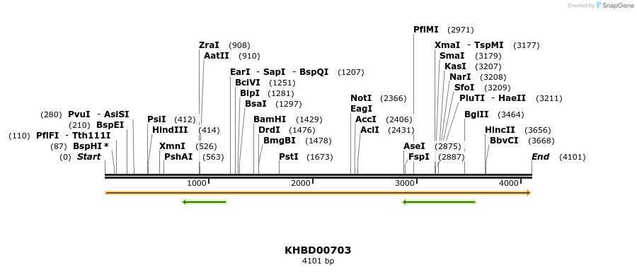 50179_map