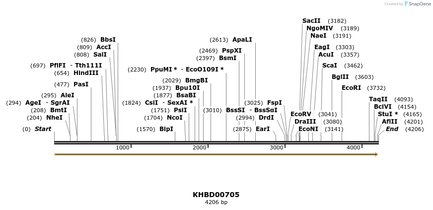 50180_map
