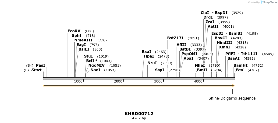 50181_map