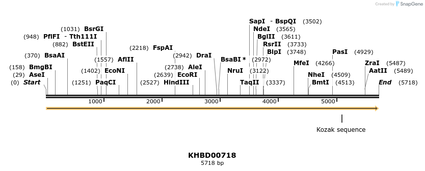 50186_map