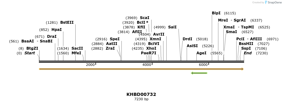 50189_map