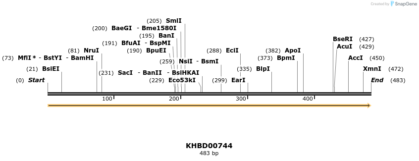 50191_map