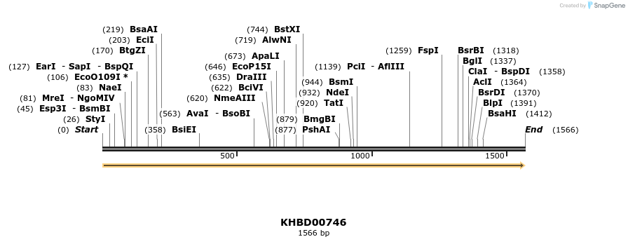 50192_map