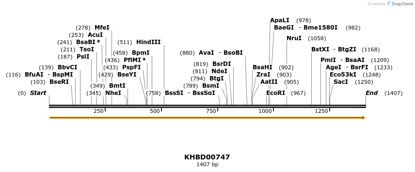50193_map